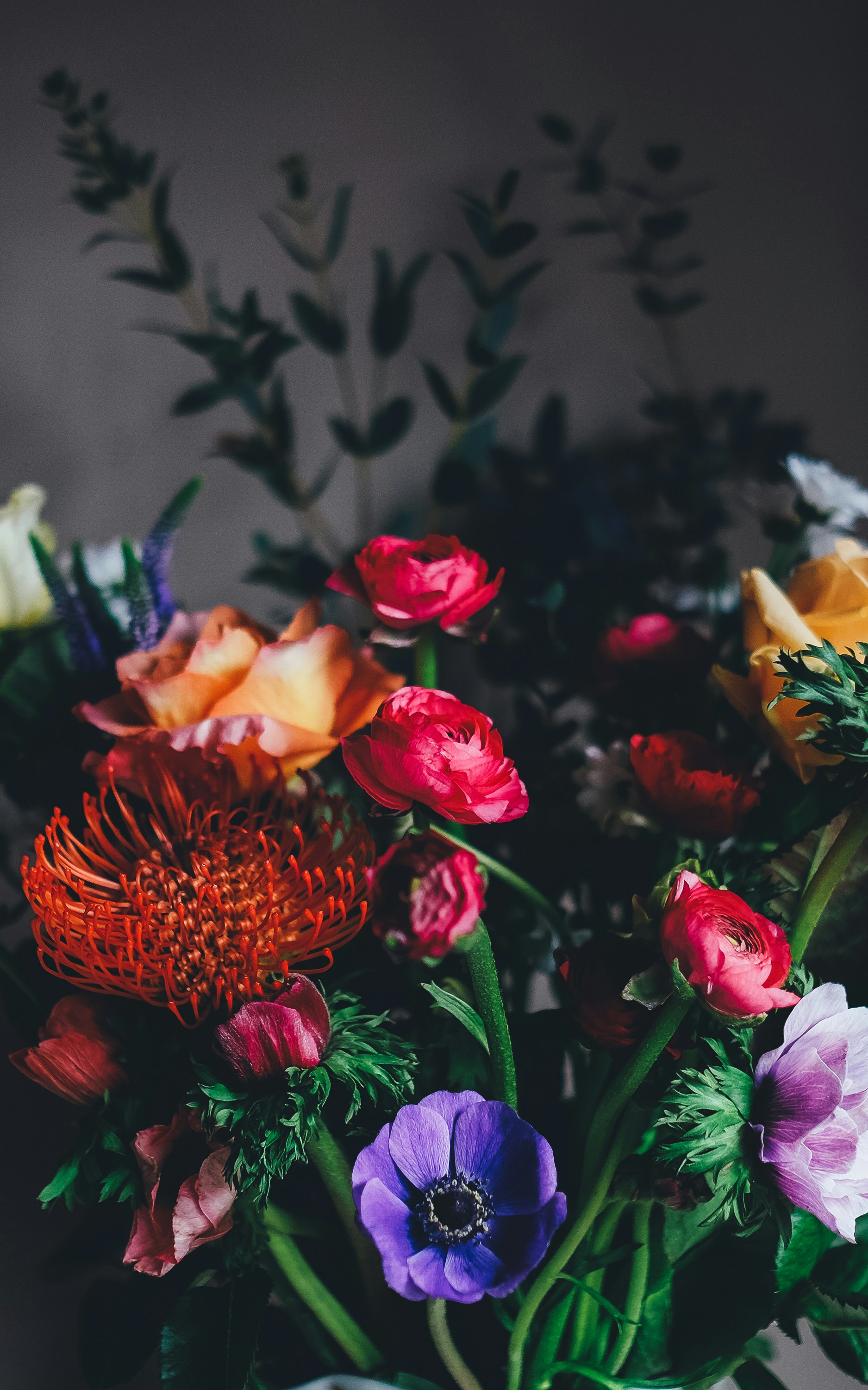 Salwa Flowers