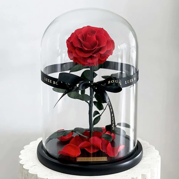 Eternity Rose