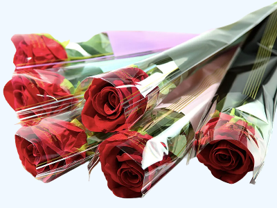 6 Single Red Roses