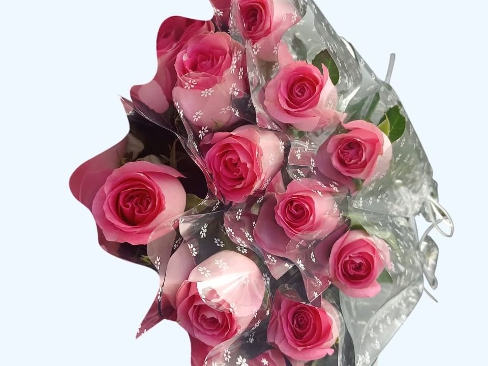 Single Pink Roses