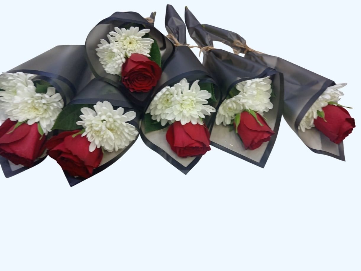 Single Special Red Roses