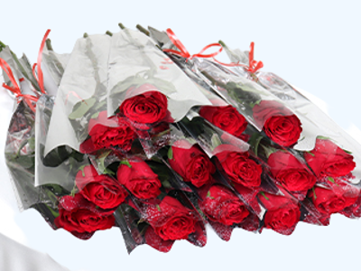 15 Pc Singe Red Rose