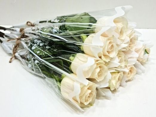 White Single Roses