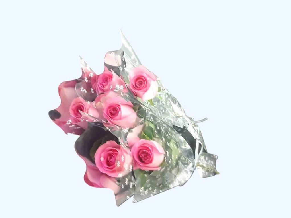6 Pink Single Roses