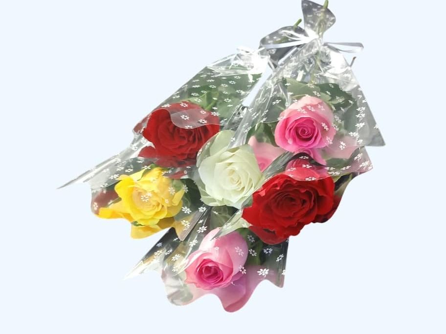 Mixed 6pc Singles Roses