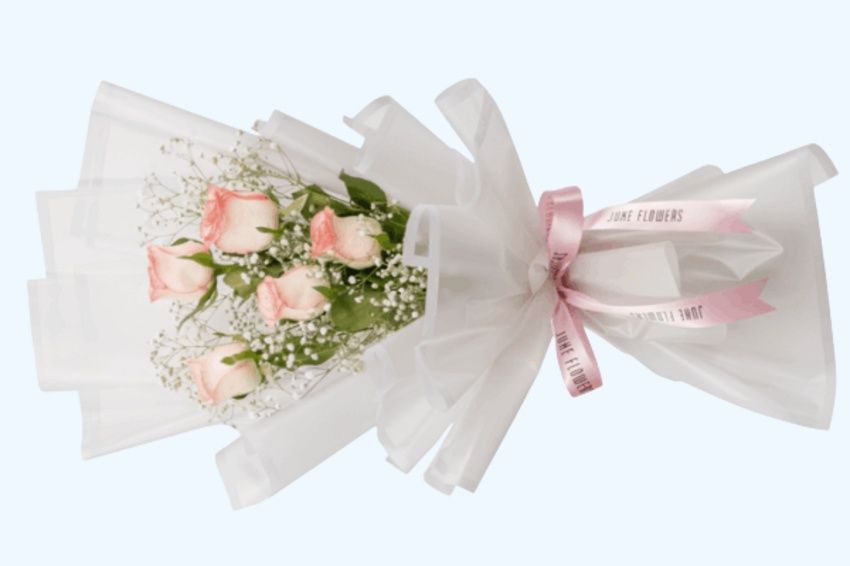 Pink Collection 2025